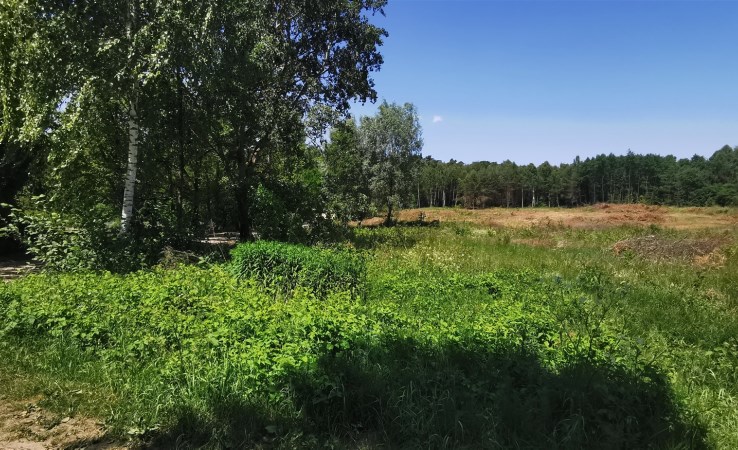 działka na sprzedaż - Sieradz, Herby